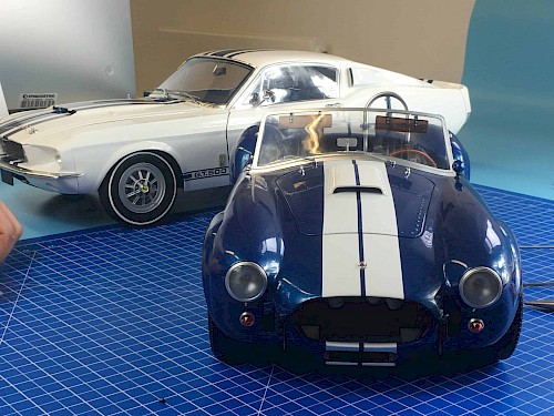 How the Cobra got its Stripes