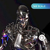 https://www.agoramodels.com/site/assets/files/14622/terminator.174x0.jpg